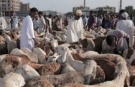 SBÜ mensuplarından Sudan'a insani yardım