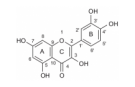 Quercetin ve Isoquercetin: Doğanın İki Mucizevi Bileşiği