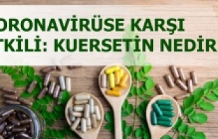 Bağışıklık güçlendiren kuersetin, koronavirüse karşı da etkili